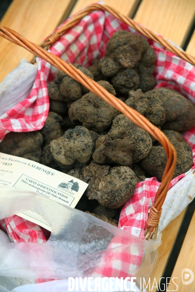 Marché aux truffes