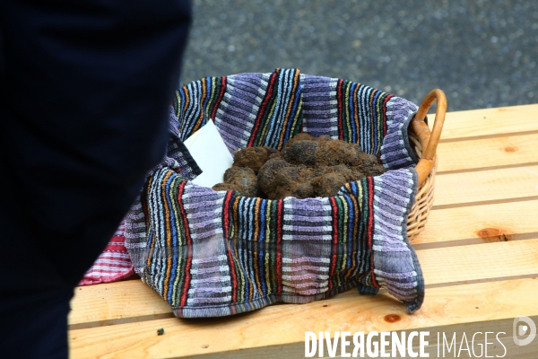 Marché aux truffes