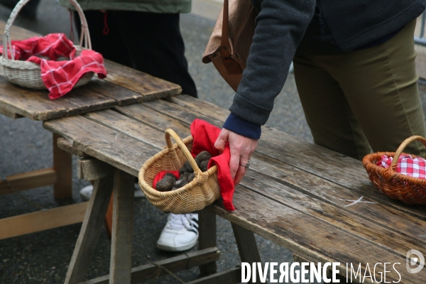 Marché aux truffes