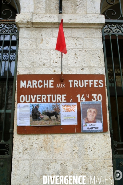 Marché aux truffes