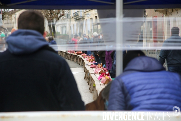 Marché aux truffes