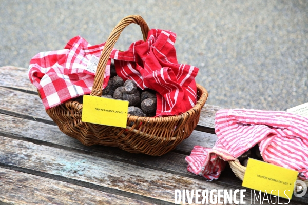 Marché aux truffes