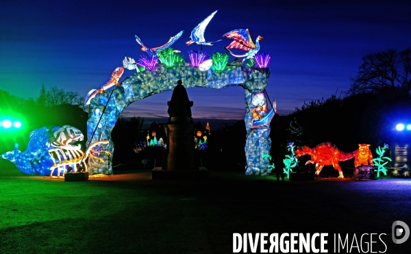 Au jardin des plantes, un parcours de sculptures lumiére retrace 600 millions d  années d évolution animale