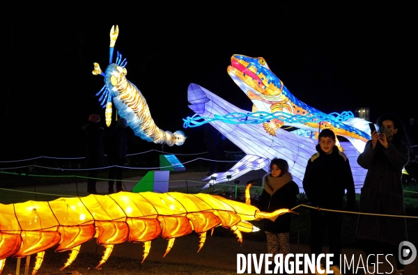 Au jardin des plantes, un parcours de sculptures lumiére retrace 600 millions d  années d évolution animale