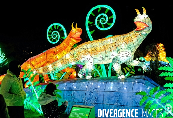 Au jardin des plantes, un parcours de sculptures lumiére retrace 600 millions d  années d évolution animale