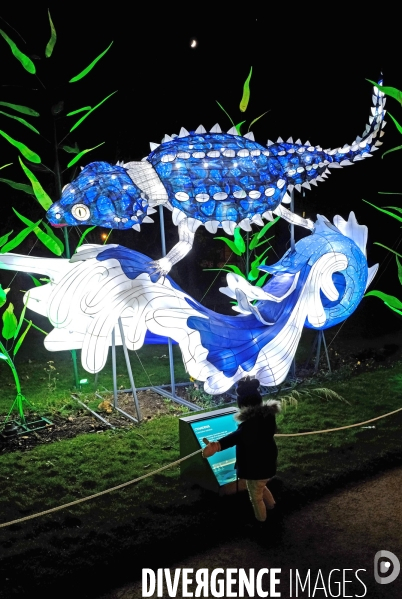 Au jardin des plantes, un parcours de sculptures lumiére retrace 600 millions d  années d évolution animale