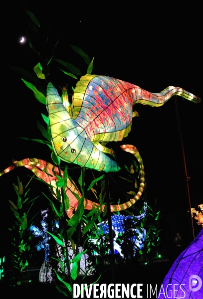 Au jardin des plantes, un parcours de sculptures lumiére retrace 600 millions d  années d évolution animale