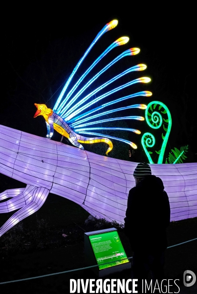 Au jardin des plantes, un parcours de sculptures lumiére retrace 600 millions d  années d évolution animale