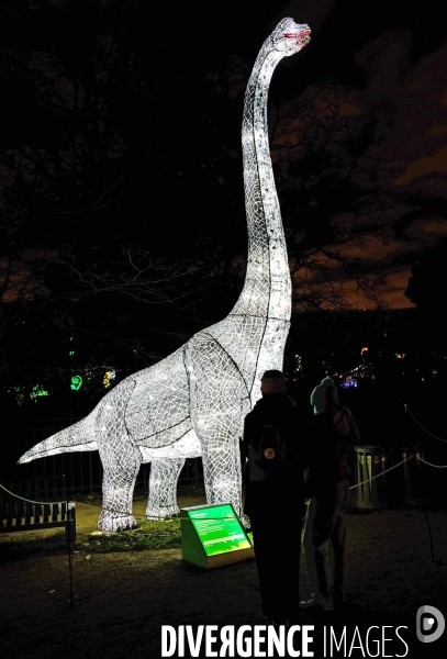 Au jardin des plantes, un parcours de sculptures lumiére retrace 600 millions d  années d évolution animale