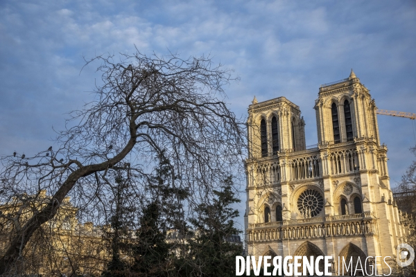 Travaux de restauration de Notre-Dame de Paris.