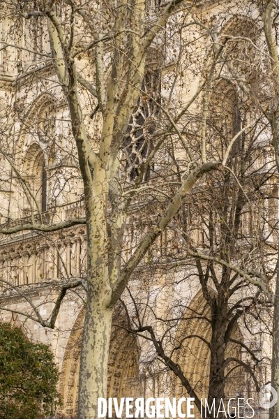 Travaux de restauration de Notre-Dame de Paris.