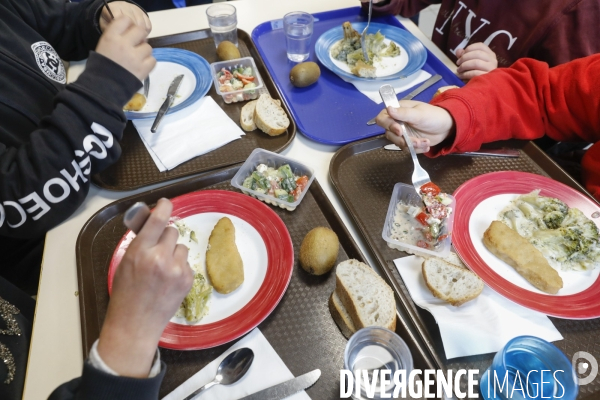 Cantine bio de l école primaire publique Ferdinand Buisson à Bègles (33).