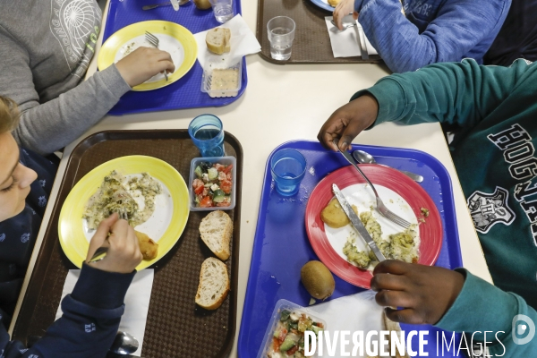 Cantine bio de l école primaire publique Ferdinand Buisson à Bègles (33).