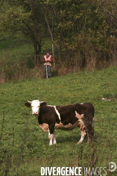 Roumanie/transylvanie