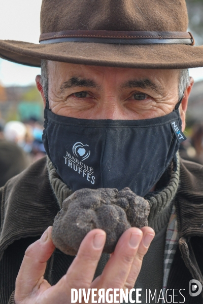 Truffe du Tricastin: Bénédiction canine et business du diamant noir