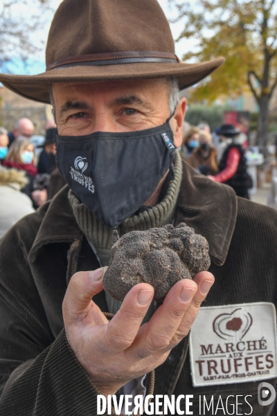 Truffe du Tricastin: Bénédiction canine et business du diamant noir