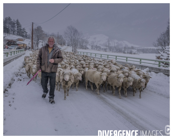 Le long de la Transbassealpine Digne-Nice ( jour de neige )