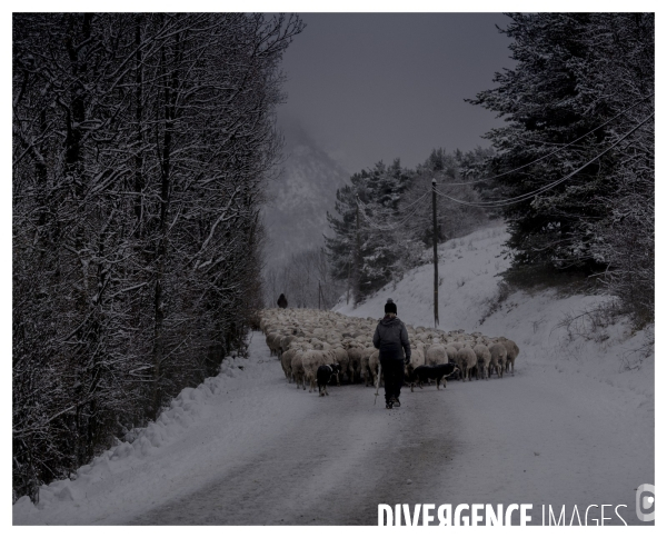 Le long de la Transbassealpine Digne-Nice ( jour de neige )