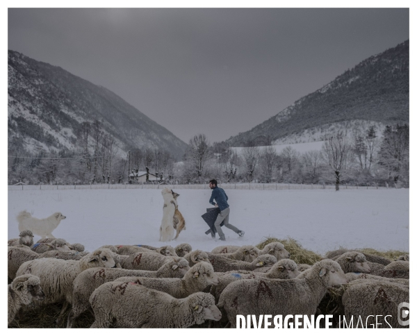 Le long de la Transbassealpine Digne-Nice ( jour de neige )