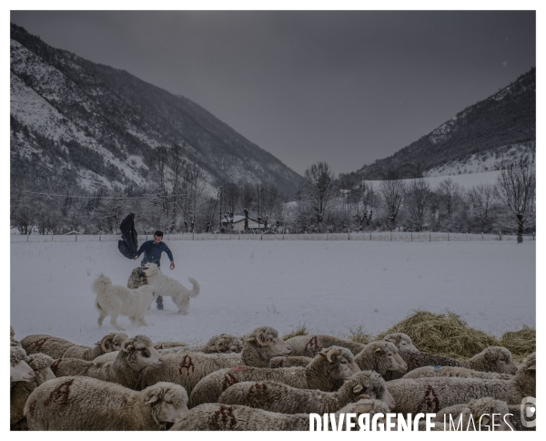 Le long de la Transbassealpine Digne-Nice ( jour de neige )