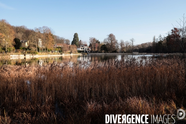 Les etangs de corot