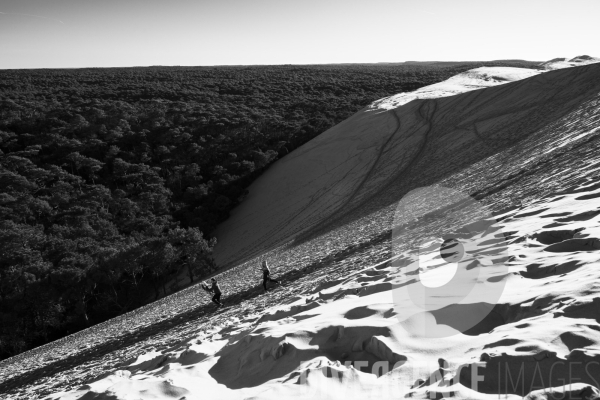 La dune du Pilat