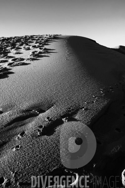 La dune du Pilat
