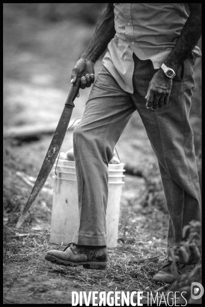 Nicaragua Archives 1993