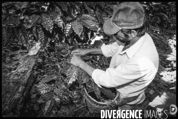 Nicaragua Archives 1993