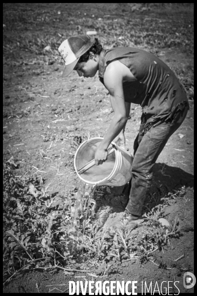 Nicaragua Archives 1993