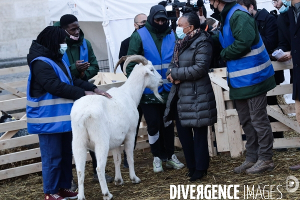 Christiane taubira a saint denis