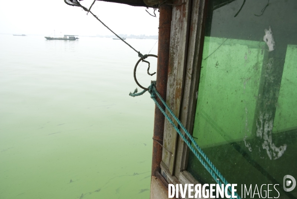 Le lac Cao, un exemple de pollution industrielle en Chine