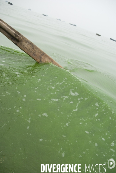 Le lac Cao, un exemple de pollution industrielle en Chine