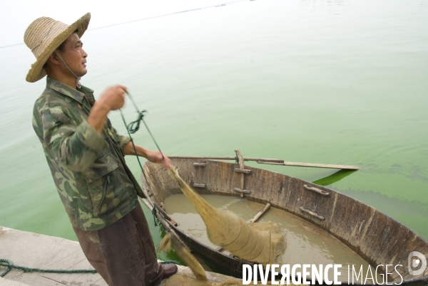 Le lac Cao, un exemple de pollution industrielle en Chine