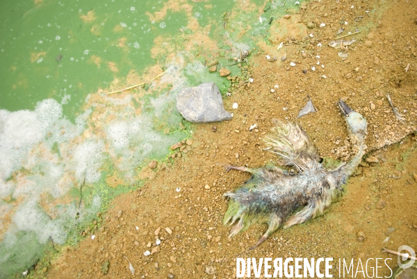 Le lac Cao, un exemple de pollution industrielle en Chine