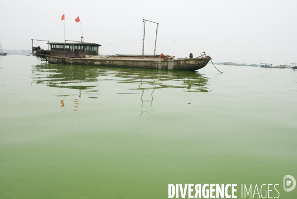 Le lac Cao, un exemple de pollution industrielle en Chine