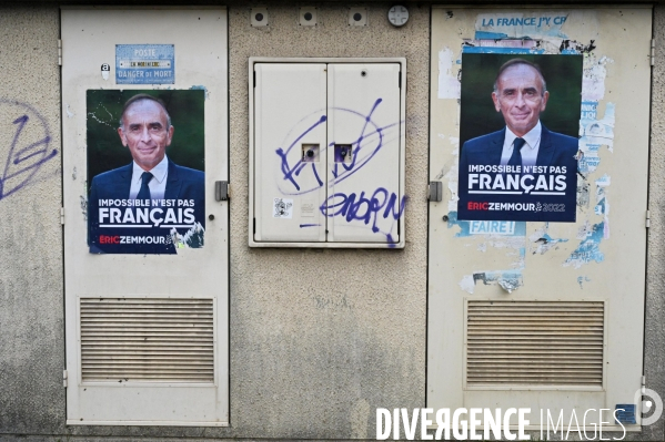 Affiches  d Eric Zemmour dans le Loir-et-Cher, (circonscription de Guillaume Peltier) pour la présidentielle de 2022