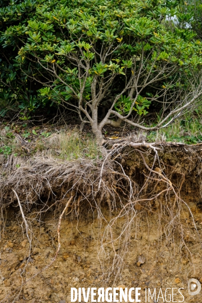Campagne de mesure de l erosion du littoral par les techniciens de l Observatoire de la Cote Aquitaine.