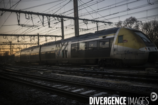 Paysage vu du train.