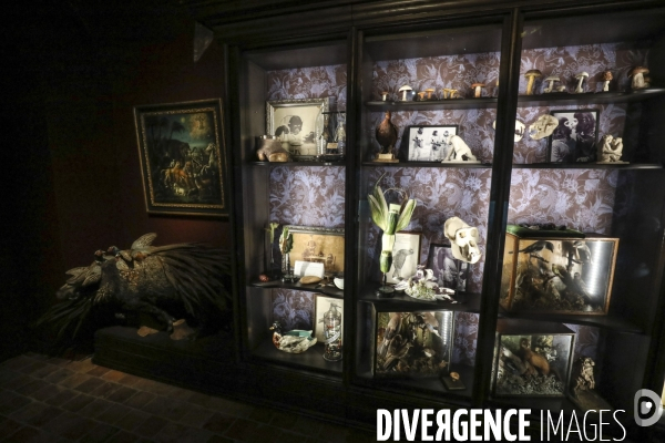 Exposition eva jospin au musee de la chasse a paris