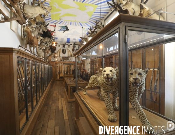 Exposition eva jospin au musee de la chasse a paris