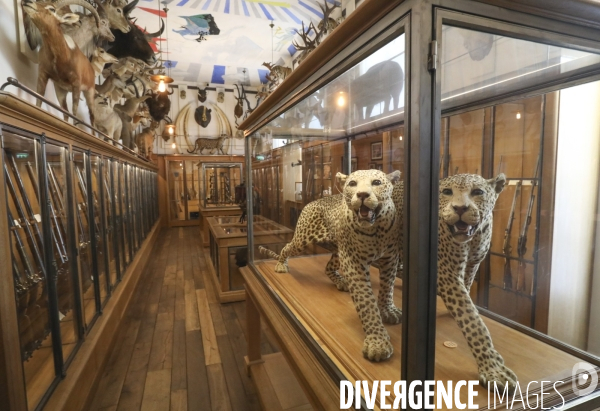 Exposition eva jospin au musee de la chasse a paris