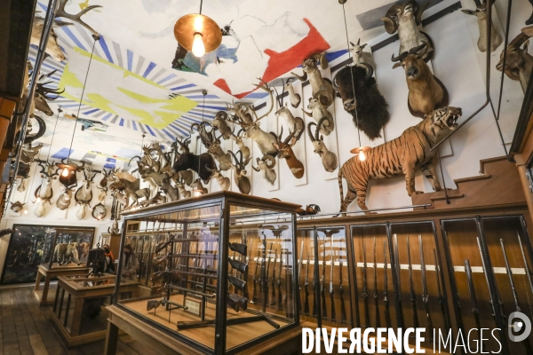 Exposition eva jospin au musee de la chasse a paris