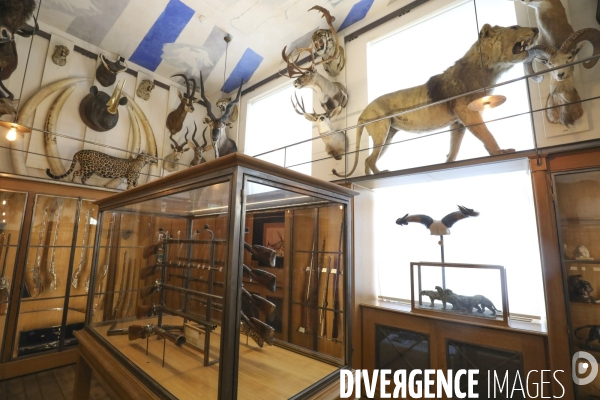 Exposition eva jospin au musee de la chasse a paris