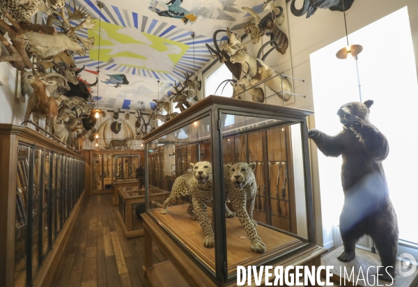 Exposition eva jospin au musee de la chasse a paris