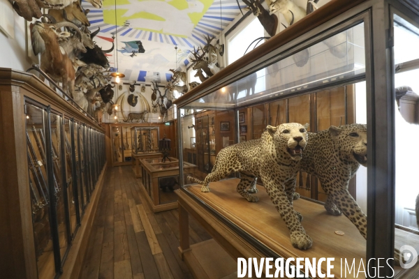 Exposition eva jospin au musee de la chasse a paris