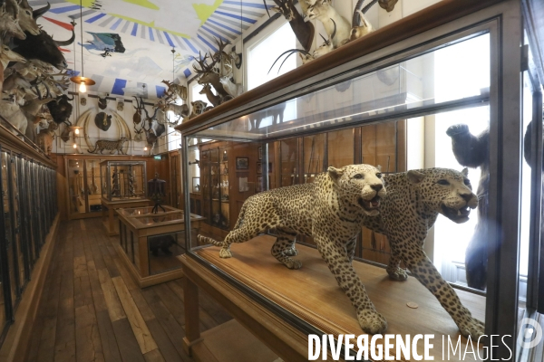 Exposition eva jospin au musee de la chasse a paris