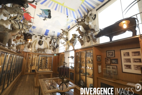 Exposition eva jospin au musee de la chasse a paris