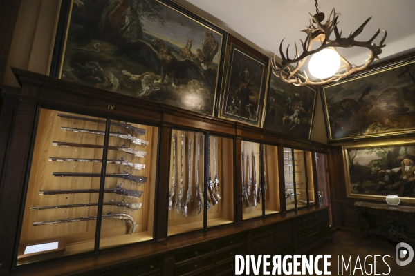 Exposition eva jospin au musee de la chasse a paris