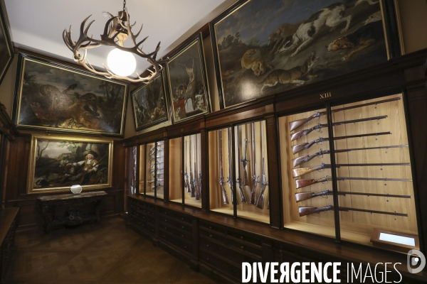 Exposition eva jospin au musee de la chasse a paris